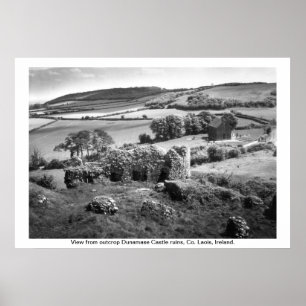 アイルランド – Co. Laois, Dunamase Castle ポスター