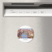 アイルランドDublin River Liffey (St.K.) マグネット (インサイチュ (食洗機))