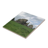 アイルランドHoreの大修道院のアイルランド語はCashelの石を台無しにします タイル (側面)