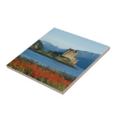 アイレアン・ドナン城、高地、スコットランド3 タイル (側面)