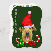 アイレデールテリアクリスマス シーズンカード (正面/裏面)