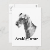 アイレデールテリアチャクチャ ポストカード (正面/裏面)