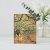 アイレデールテリアバードウォッチング ポストカード (スタンド正面)