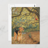 アイレデールテリアバードウォッチング ポストカード (正面/裏面)