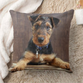 アイレデールテリアパピー クッション (ブランケット)