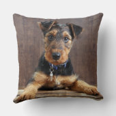 アイレデールテリアパピー クッション (裏面)