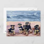 アイレデールパピースポストカード ポストカード (正面/裏面)