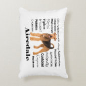 アイレデール枕 アクセントクッション (正面(垂直))