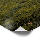 アイレンドナン城スコットランド ポスター (コーナー)