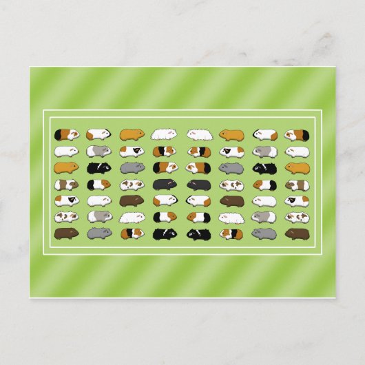 アインポストカルテミットメルシュワインヘン ポストカード (正面)