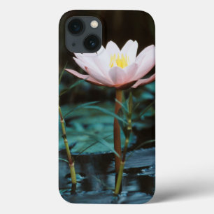 アインル湖のウォーターリリーのクローズアップビュー iPhone 13ケース