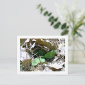 アイ恋しく思ユー（韓国） ポストカード (スタンド正面)