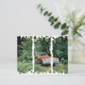 アイ救済救ジオールドオーチャードビーチ ポストカード (スタンド正面)