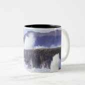 『アイ·オブ·ザ·ストーム·マグ』 ツートーンマグカップ (正面右)