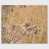 アイ・オン・ザ・ターゲット – ヒョウ動物写真 ラッピングペーパー (フラット)