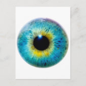 アイI ポストカード (正面)