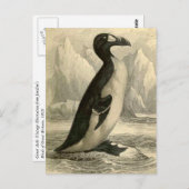 アウク素晴らし:ヴィンテージジャーディンのプリントポストカード ポストカード (正面/裏面)