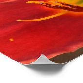 アウグレの芸術 ポスター (角)