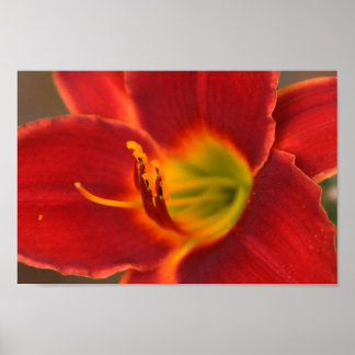 アウグレの芸術 ポスター