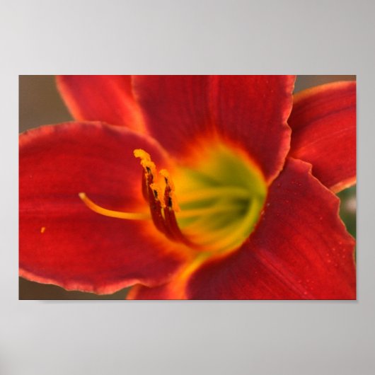 アウグレの芸術 ポスター (正面)