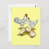 アウストラホワイトファミリー ポストカード (正面/裏面)