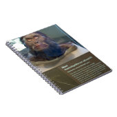 アウストラロピテクスのafarensis; 博物館の展示物 ノートブック (右側)