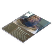 アウストラロピテクスのafarensis; 博物館の展示物 ノートブック (左側)