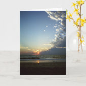 アウターバンクスモーニング1 カード (黄色い花)