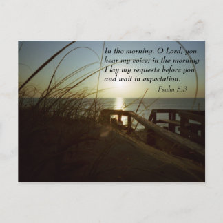 アウターバンクス朝4 ポストカード