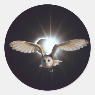 アウター空間のフクロウ ラウンドシール