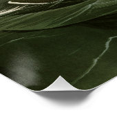 アウッ素晴らしク ポスター (コーナー)