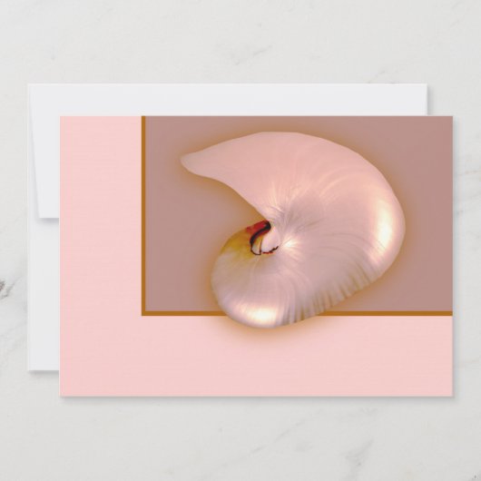 アウトサイド・ノーチラス (正面)