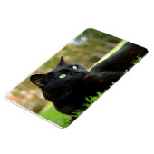 アウトドアを楽しむ緑の目の黒猫 マグネット (左側)