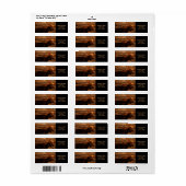 アウトドアマン動揺してグ野生動物ブルムース ラベル (フルシート)