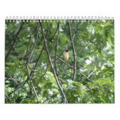 アウトドア カレンダー (カバー)