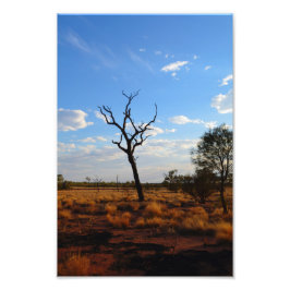 アウトバックの風景 フォトプリント           