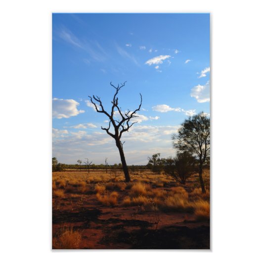 アウトバックの風景 フォトプリント            (正面)