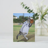 アウトフィールドのキャッチャー! ポストカード (スタンド正面)