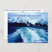 アウト湾で ポストカード (正面/裏面)