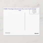 アウト湾で ポストカード (裏面)