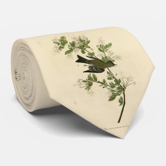 アウドゥボンのアメリカの鳥から来たイースタン・ウッド・ペイ ネクタイ (ロール)
