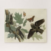 アウドゥボンのアメリカの鳥たち、東方鞭の哀れな意志 ジグソーパズル (横)