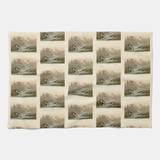 アウドゥボンのアメリカ鳥の小サンドピパー キッチンタオル (横)
