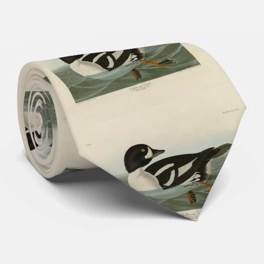 アウドゥボンの鳥から取れた金の目のアヒル ネクタイ (ロール)