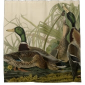 アウドゥボンの鳥のアメリカショーから来たマラード・ダック シャワーカーテン (正面)