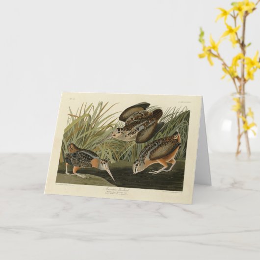 アウドゥボンの鳥のアメリカ産のウッドコック カード (黄色い花)