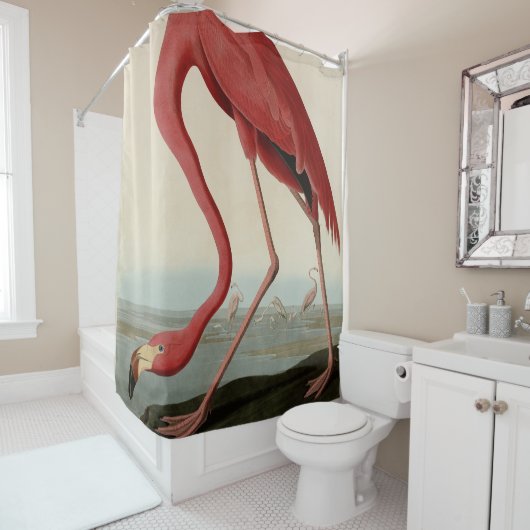 アウドゥボンの鳥のアメリカ産フラミンゴ シャワーカーテン (インサイチュ)