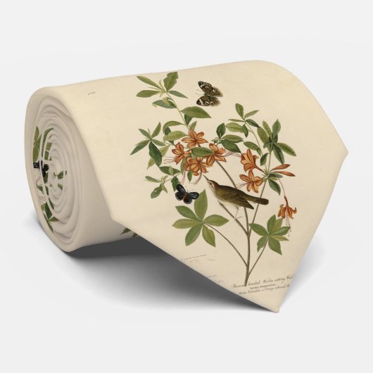 アウドゥボンの『アメリカの鳥』から得たスワインソンの奨学金 ネクタイ (ロール)