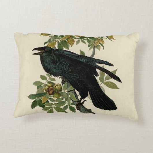 アウドゥボンレイヴン鳥クラシックのアートワーク アクセントクッション (裏面)
