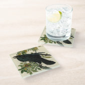 アウドゥボンレイヴン鳥クラシックのアートワーク ガラスコースター (アングル)